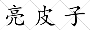 亮皮子