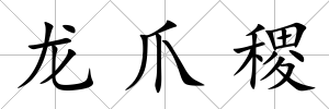 龍爪稷