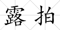 露拍