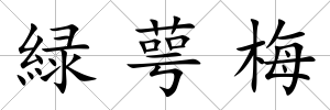 緑萼梅