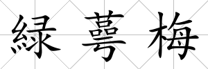 緑蕚梅