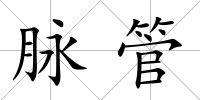 脈管