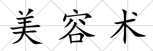 美容術