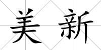 美新
