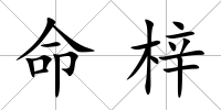 命梓