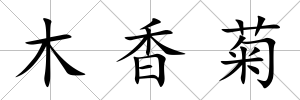 木香菊