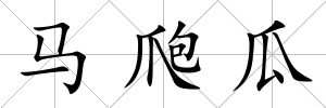 馬爮瓜