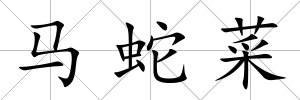 馬蛇菜