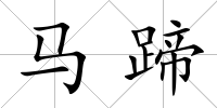 馬蹄