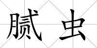 膩蟲