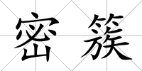 密簇
