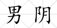 男陰