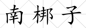 南梆子