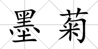 墨菊
