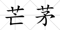 芒茅