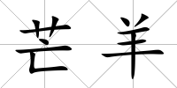 芒羊
