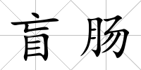 盲腸