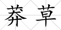 莽草