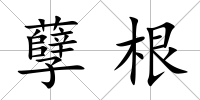 孽根
