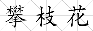 攀枝花