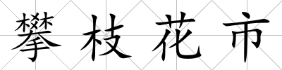 攀枝花市