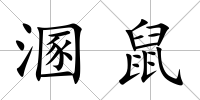 溷鼠