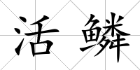 活鱗