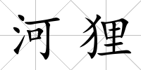 河貍