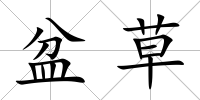 盆草