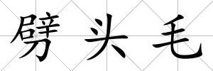 劈頭毛