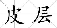 皮層