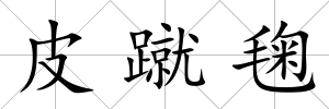 皮蹴毱