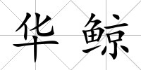 華鯨