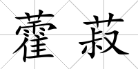 藿菽