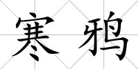 寒鴉