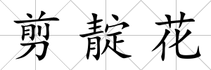 剪靛花