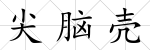 尖腦殼