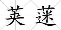 莢蒾