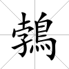 鵓