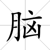 腦