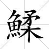鰇