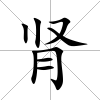 腎