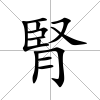 腎