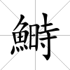 鰣