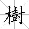 樹
