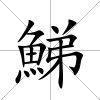 鮷