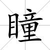 瞳