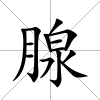 腺