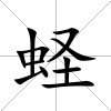 蟶