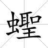 蟶